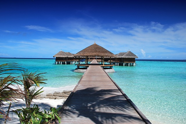 Andaman and Nicobar Islands Holiday Package from Dubai – Your Tropical Paradise Beckons