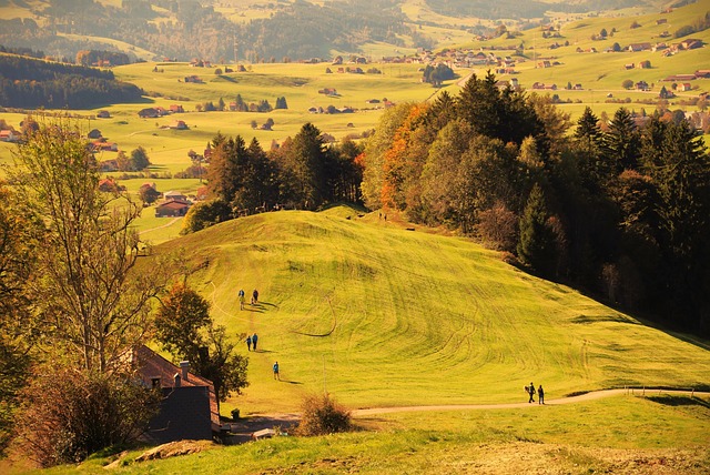 Why to go on Wine Tours in Adelaide Hills