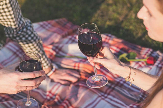 Barossa Wine Tours from Adelaide and Their Varieties